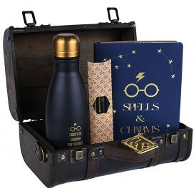 Coffret HARRY POTTER - Trouble Finds Me