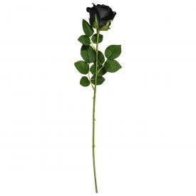 Fleur ALCHEMY - Black Rose
