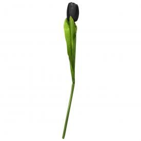 Fleur ALCHEMY - Tulipe Noire
