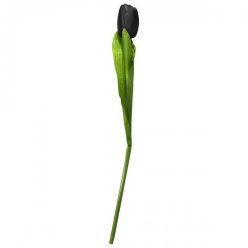 Fleur ALCHEMY - Tulipe Noire - Rock A Gogo