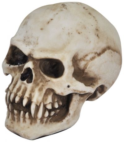 Extincteur Bar Tête de Mort, Cadeau Skull Gothique