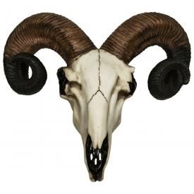 Crâne Murale ANIMAUX - Rams Skull