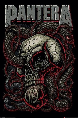 Poster PANTERA - Snake Eye - Rock A Gogo