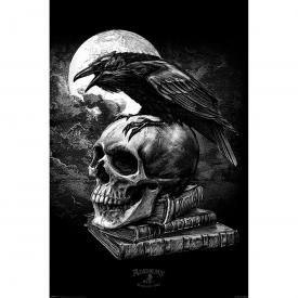 Poster ALCHEMY - Poe's Raven