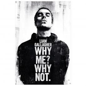 Poster LIAM GALLAGHER - Why Not